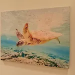 Apartament L'alcova Del Mare Alassio