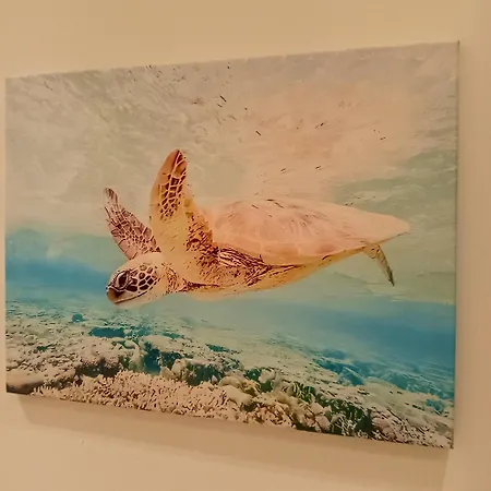 דירה L'alcova Del Mare אלסיו