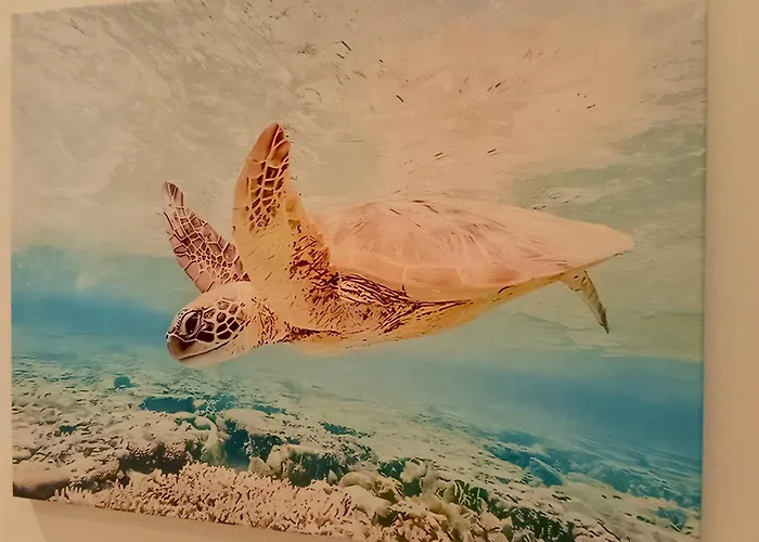 Apartamento L'alcova Del Mare Alassio